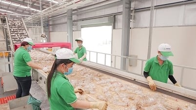 Tiêu dùng bền vững hướng đến kỷ nguyên xanh:
