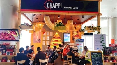Những vùng cà phê giữ rừng đầu nguồn