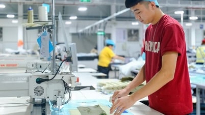 Trường dạy gì để sinh viên đáp ứng kỳ vọng của doanh nghiệp ngoại?