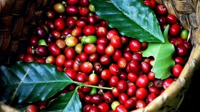 Сельскохозяйственные новости сегодня (6 июля): раскрытие...