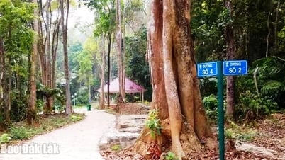 Sa Lôn - dấu xưa bất khuất