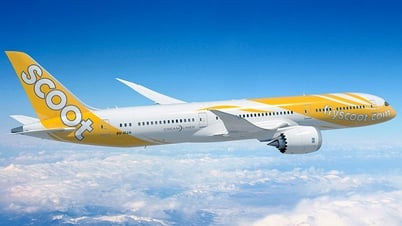 Scoot Air sẽ mở đường thẳng từ Singapore đến Cam Ranh vào cuối tháng 11-2025