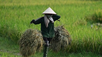 Noch 5 Tage, HCMC erhöht den Reispreis, um Steuern einzutreiben