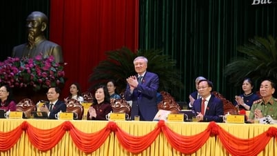 លោក Nguyen Hoa Binh Nguyen Hoa Binh Bac Ninh