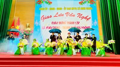 닌자(Ninh Giang) 마을에는 박물관에 속한 친척이 2개 있습니다.