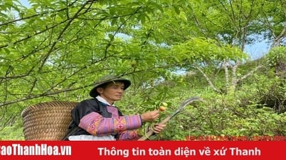 접촉에 대한 "지원"
