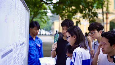 Résultats de référence des écoles publiques à Hanoi au cours des trois dernières années : pression des meilleures écoles