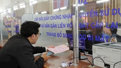Lâm Đồng nằm trong top 5 địa phương tiếp nhận, giải quyết TTHC chính tốt nhất
