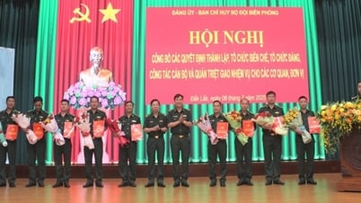 組織、人材、公開に関する決定を発表します。