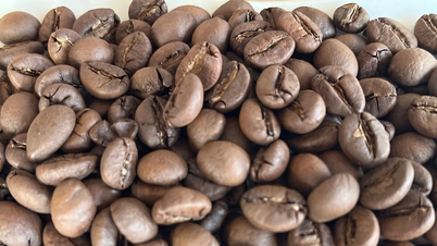Giá cà phê ngày 6-7 tiếp tục tăng gần 1.000 đồng/kg