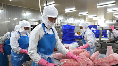 Gia Lai: Exportumsatz um 21,3 % gestiegen