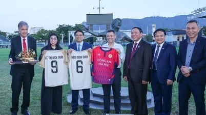 Prime Minister Pham Minh Chinh hopes Brazil will support Vietnam in developing football.