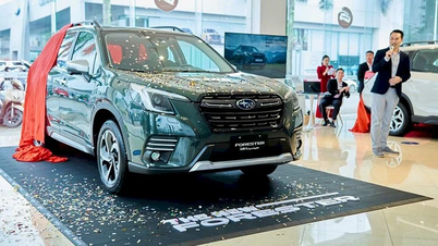 Subaru Forester weiterhin „großen Rabatt“ 230 Millionen in Vietnam