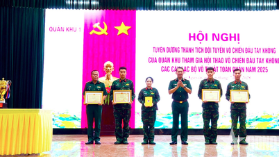 Quân khu 1: Tuyên dương thành tích Đội tuyển võ chiến đấu tay không
