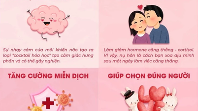 Khám phá những lợi ích bất ngờ của hôn