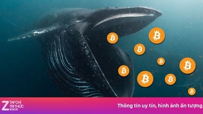 حوت البيتكوين في وقت مبكر يصل إلى أكثر من 8 مليار دولار