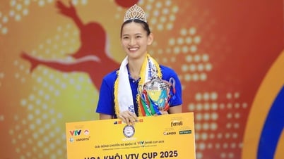 미스 배구 VTV Cup 2025의 아름다움을 만들기 위해 확인하세요