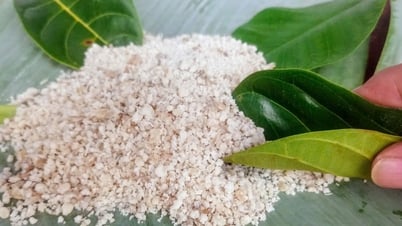 Geschmack der Heimat: Süßkartoffeln essen und über alte Geschichten tratschen