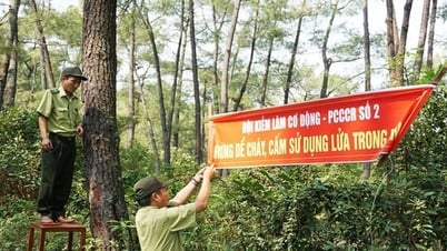 Tăng cường thực hiện công tác quản lý bảo vệ rừng, phòng cháy, chữa cháy rừng