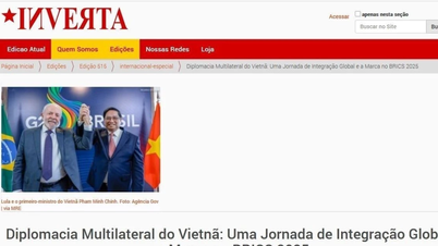 Truyền thông Brazil đánh giá cao chính sách ngoại giao đa phương của Việt Nam