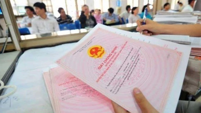 8 أغسطس 2025 1 سبتمبر 2025