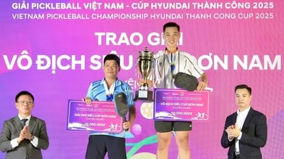 ការប្រកួតបាល់បោះវៀតណាមឆ្នាំ 2025