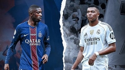 FIFA Club World Cup semi-finalists confirmed