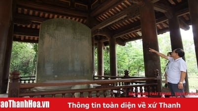 គ្រប់គ្រងការការពារ និងបង្កើនទំហំតម្លៃនៃសារីធាតុដែលថា