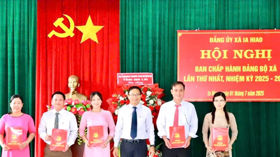 Củng cố tổ chức Đảng, đảm bảo vận hành thông suốt