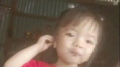 Une fillette de 2 ans mystérieusement disparue à Lam Dong