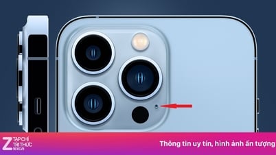 Lỗ nhỏ cạnh camera iPhone có tác dụng gì