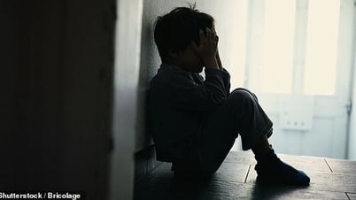 코로나19 팬데믹 권한을 행사하는 집에서 감시하고, 격리된 생활을 하는 것으로 보입니다.