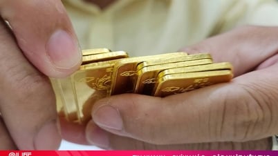 7 سبتمبر: 7 سبتمبر: 7 سبتمبر 2019