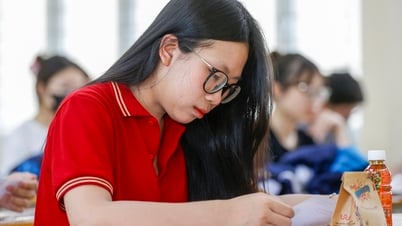 Đáp án chính thức môn Toán thi tốt nghiệp THPT năm 2025