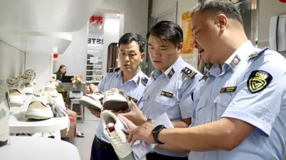 в регионе с контрафактной продукцией для закупки товаров, скорее всего, продукцией и защитой длинных товаров
