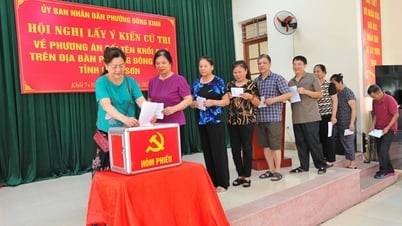 Consulting voters on the plan to rename blocks in Dong Kinh ward