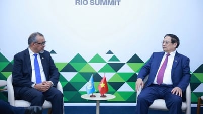 El Director General de la OMS valora altamente los esfuerzos de Vietnam en la dirección correcta para responder a la epidemia