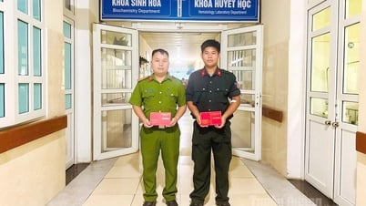 Двое полицейских и солдаты оперативно сдали кровь, чтобы спасти жизни