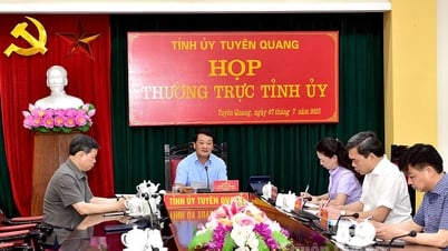 Thường trực Tỉnh ủy cho ý kiến vào một số nhiệm vụ quan trọng sau hợp nhất