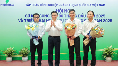 ព័ត៌មានបន្ថែម “គ្រប់គ្រងល្អនៃផែនការ” ជួយ BSR English