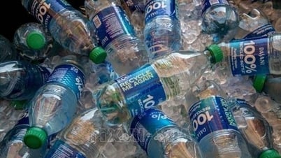 Vi khuẩn giúp chuyển hóa rác thải nhựa thành thuốc giảm đau
