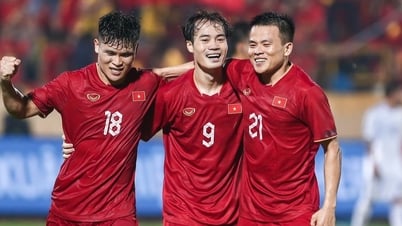 CĐV Đông Nam Á phản ứng khi tuyển Việt Nam đặt mục tiêu dự World Cup