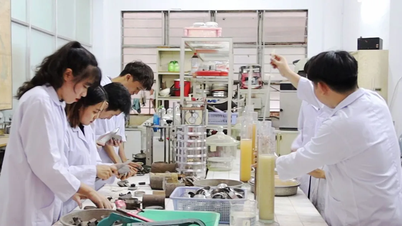 Synergy in training high quality human resources