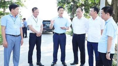 성위원회 위원장 부옹 꾸옥 투안이 일부 지방의 업무 상황을 시찰했습니다.