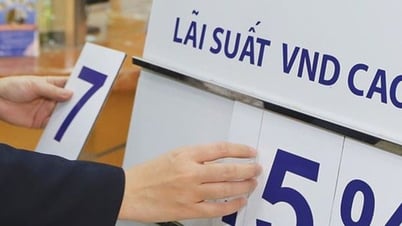 So sánh lãi suất ngân hàng 12 tháng trong tháng 7/2025: Ai thắng trong cuộc đua lãi suất?