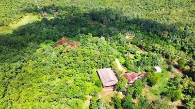 Khai quật khảo cổ tại Khu đền tháp Mỹ Sơn trong 5 tháng