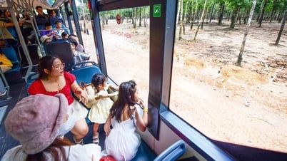Der Sommertourismus ist auf seinem Höhepunkt, vermeiden Sie billige Reisefallen