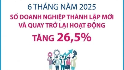 مزيد من المعلومات 26.5%