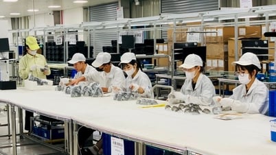 Cơ hội việc làm sau khi hợp nhất Hải Dương và Hải Phòng ra sao?