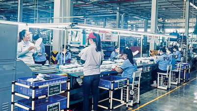 Vốn đăng ký kinh doanh của doanh nghiệp đạt trên 10.600 tỉ đồng
